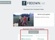 Cara Download Video di FB – Mudah dan Praktis