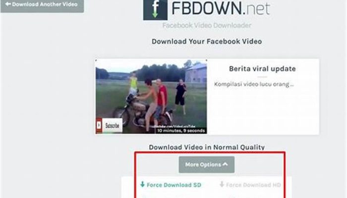 Cara Download Video di FB – Mudah dan Praktis
