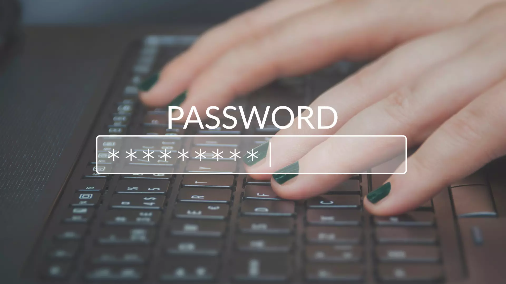 Cara Melihat Password Wifi Lengkap dan Terperinci