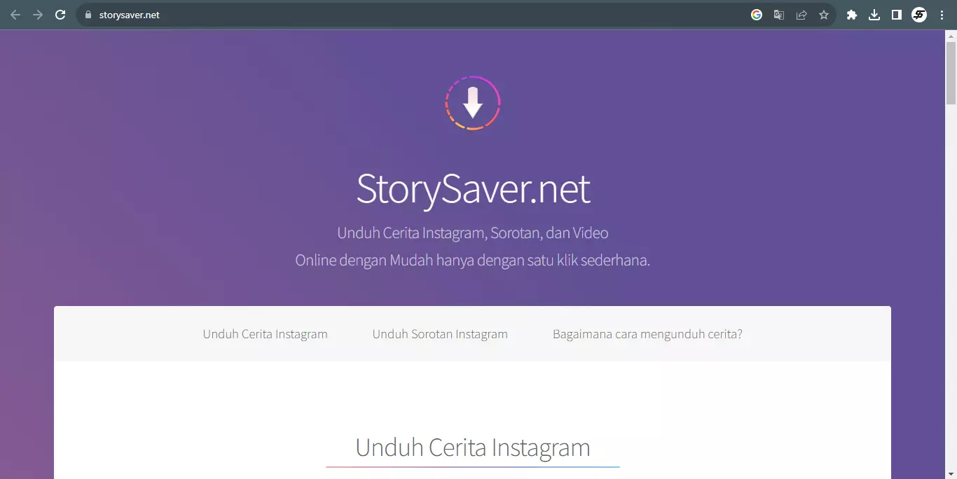 StorySaver.net website download story ig