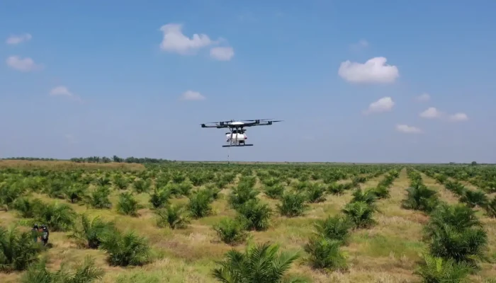 Peran Startup Drone Pertanian Untuk Ketahanan Pangan Indonesia