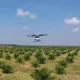 Peran Startup Drone Pertanian Untuk Ketahanan Pangan Indonesia