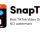 Ayo Pakai Snaptik Capcut untuk Download Video TikTok Tanpa Watermark, Tutorialnya Gampang!