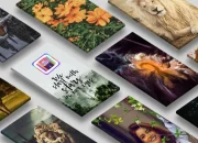 Cara Mengganti Wallpaper dengan Video di HP iPhone dan Android
