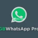 Download GB WhatsApp Pro untuk Melihat Chat yang Dihapus, Sebaiknya Simak Hal Ini Terlebih Dahulu