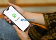 Aplikasi untuk Mengembalikan Foto yang Terhapus di WhatsApp