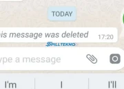 Cara Baca Chat WhatsApp yang Dihapus