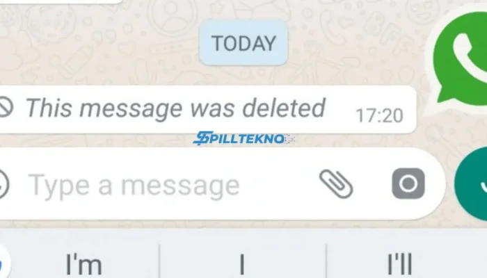 Cara Baca Chat WhatsApp yang Dihapus
