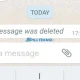 Cara Baca Chat WhatsApp yang Dihapus
