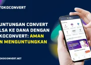 Keuntungan Convert Pulsa ke DANA dengan TokoConvert, Aman dan Menguntungkan