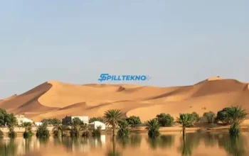 Hujan Deras Membanjiri Gurun Sahara Danau Kering Terisi Kembali Setelah Setengah Abad