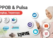 Peluang Usaha Agen Pulsa Tanpa Deposit Gratis Pendaftaran