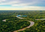 Penemuan Kota yang Hilang di Amazon: Sebuah Perjalanan Arkeologis Mengungkap Jejak Peradaban Masa Lalu