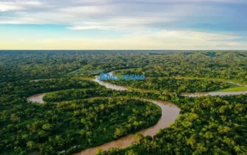 Penemuan Kota yang Hilang di Amazon Sebuah Perjalanan Arkeologis Mengungkap Jejak Peradaban Masa Lalu