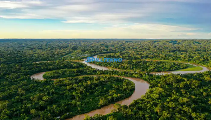 Penemuan Kota yang Hilang di Amazon Sebuah Perjalanan Arkeologis Mengungkap Jejak Peradaban Masa Lalu