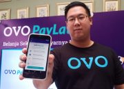 OVO PayLater: Panduan Lengkap Cara Menggunakan dan Membayar Tagihan