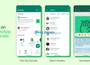 Cara Membuat Saluran di WhatsApp dengan Mudah dan Cepat