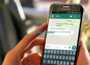 Cara Menyebut Pengguna Lain di Status WhatsApp