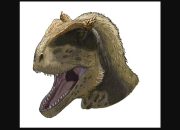 Alpkarakush kyrgyzicus: Penemuan Spesies Dinosaurus Unik dari Kirgistan