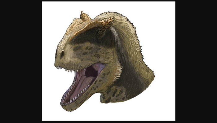 Alpkarakush kyrgyzicus Penemuan Spesies Dinosaurus Unik dari Kirgistan