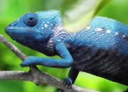 10 Fakta Ilmiah yang Ternyata Salah Kaprah