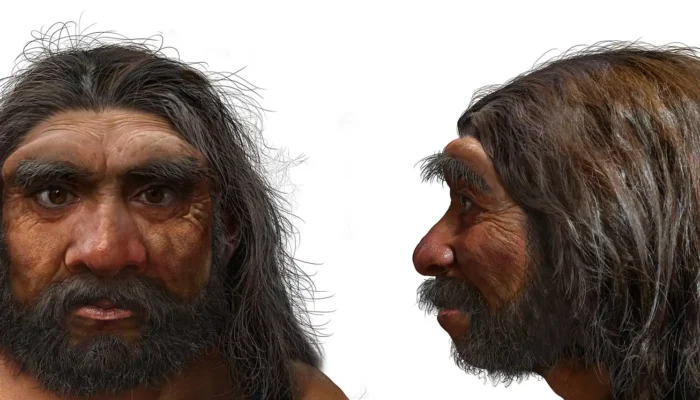 6 Perbedaan antara Homo Neanderthal dan Homo Sapiens, Leluhur Manusia yang Dianggap Mirip
