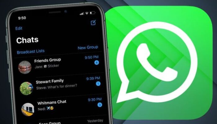7 Trik Agar WhatsApp Terlihat Offline Meski Sedang Online, Cocok Dicoba Saat Libur