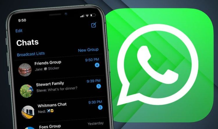 7 Trik Agar WhatsApp Terlihat Offline Meski Sedang Online, Cocok Dicoba Saat Libur