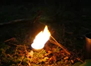 Bagaimana Api Pertama Kali Muncul di Bumi?