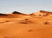 Dinosaurus Pertama Diduga Tersembunyi di Lokasi Paling Sulit Dijangkau di Bumi