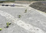 Jejak Kaki Dinosaurus Era Jurassic Ditemukan di Inggris, Penemuan yang Menggugah Imajinasi