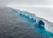 Para Ilmuwan Khawatir Gunung Es Terbesar di Dunia Menabrak Pulau