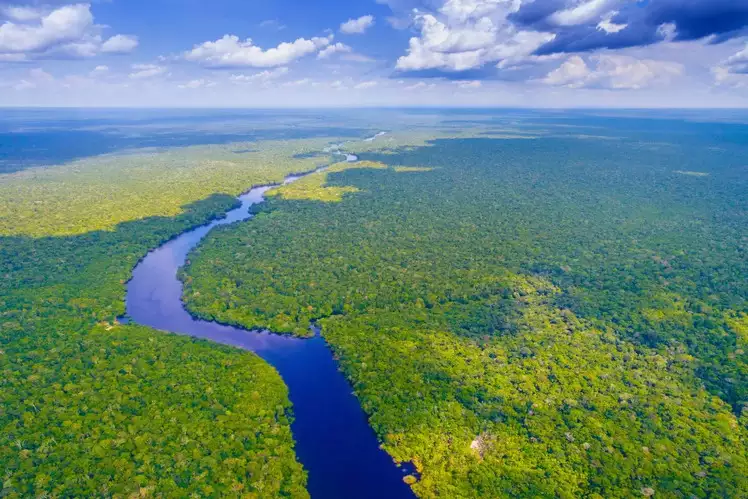 Mempertahankan Hubungan Hutan Hujan