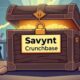 Saviynt Crunchbase Unveiled Explore the Secrets Behind Its Growth and Success