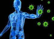 Bagaimana Tubuh Melawan Virus dengan Sistem Imun