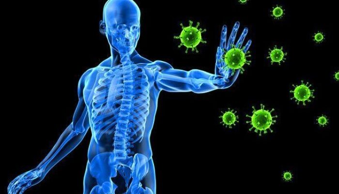 Bagaimana Tubuh Melawan Virus dengan Sistem Imun