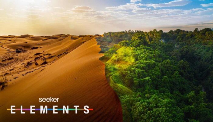 Bukti Ilmiah Sahara yang Pernah Hijau di Masa Lalu, Ini Faktanya!