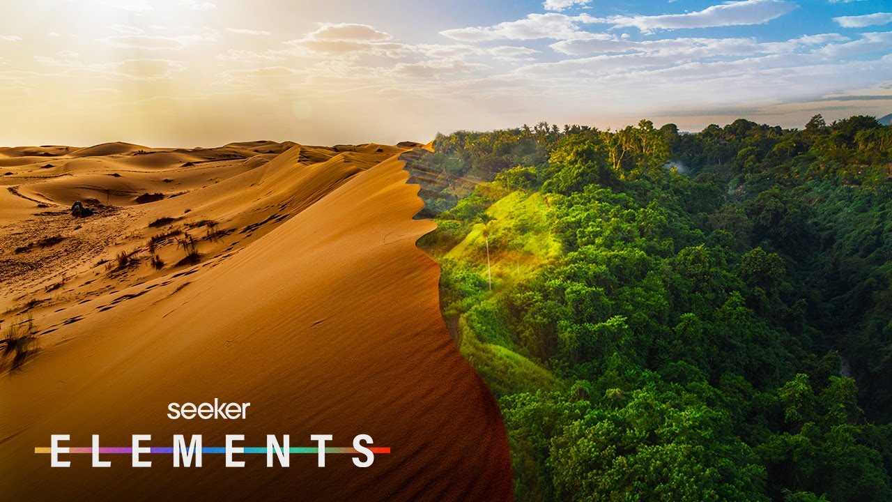 Bukti Ilmiah Sahara yang Pernah Hijau di Masa Lalu, Ini Faktanya!