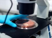 Eksperimen Sains Gila yang Ternyata Benar Terjadi