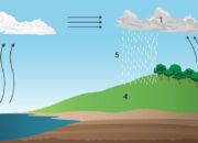 Proses Air Menjadi Awan dan Turun Jadi Hujan