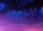 Rahasia Evolusi Warna di Alam