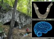 Suku Kanibal Kuno di Eropa Rayakan Kemenangan dengan Santap Otak Musuh