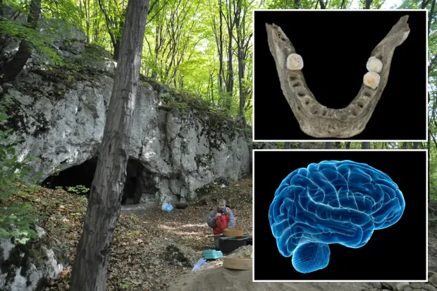 Suku Kanibal Kuno di Eropa Rayakan Kemenangan dengan Santap Otak Musuh