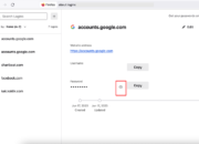 Tips Jitu Biar Gak Lupa Password Lagi