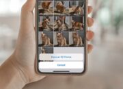 7 Aplikasi untuk Balikin Foto di Galeri yang Hilang