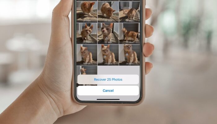 7 Aplikasi untuk Balikin Foto di Galeri yang Hilang