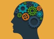 Apa yang Membuat Otak Bisa Berpikir Cepat