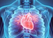 Apa yang Terjadi Saat Jantung Berdetak