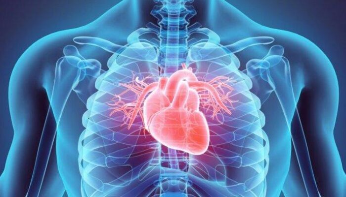 Apa yang Terjadi Saat Jantung Berdetak