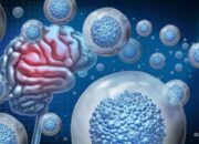 Apa yang Terjadi Saat Otak Kekurangan Oksigen